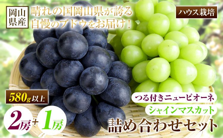 [先行予約] 岡山県産 つる付き!ニューピオーネ 2房 1房あたり580g & シャインマスカット 1房 580g セット ハウス栽培[配送不可地域あり]ニューピオーネ シャインマスカット[7月上旬-8月末頃に出荷予定(土日祝除く)] 岡山県 矢掛町 晴王 ぶどう 詰め合わせ 果物---osy_chbf35_af7_25_34000_a---