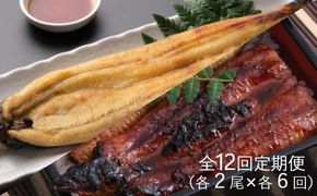 うなぎ蒲焼き・白焼きを交互にお届け！国産うなぎ２尾【全１２回定期便】 _ うなぎ 鰻 ウナギ 2尾 国産 高知県産 蒲焼き 白焼き かばやき 冷凍 うな重 ひつまぶし タレ ランキング 人気 12回 定期便 [yj060]