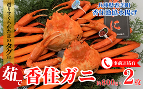 【先行予約】【香住ガニ（ボイル）大 タグ付き 約800g×2枚 冷蔵】令和7年11月以降発送予定 漁協から配送日調整の電話が入ります かに カニ 蟹 紅ずわいがに 兵庫 香美 香住 遊魚館 03-08