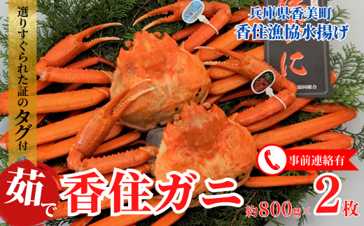yɌzys\zyZKji{Cj ^Ot 800g×2 ①zߘa7N11ȍ~\ z̓db܂  Jj I g킢   Z V 03-08