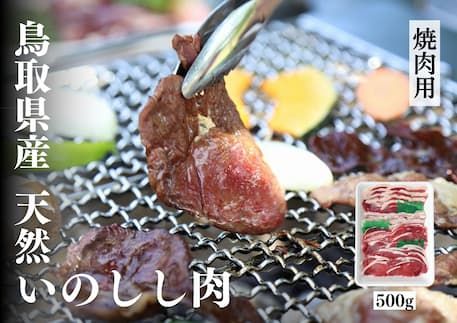 鳥取県産猪　ミックススライス　５００ｇ