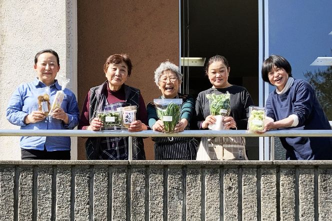 《2026年11月下旬配送》母さんのおすすめセット～季節の野菜詰め合わせ～ [旬の味覚 山の幸 詰め合わせ 東北 秋田 産地直送 グルメ お取り寄せ]|02_sns-020201