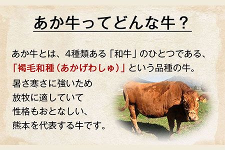 あか牛 サーロインステーキ 計400g(200g×2枚) あか牛の館 《60日以内に出荷予定(土日祝を除く)》熊本県 南阿蘇村---sms_faksirlo_60d_r7_28000_400---