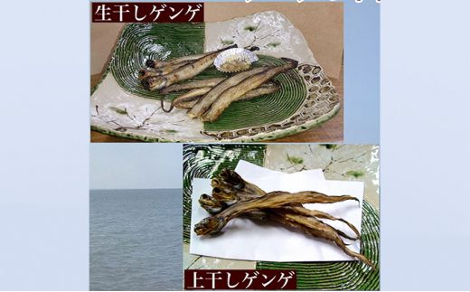 【富山湾深海魚】ゲンゲの干物 2種セット（上干し・生干し　各2袋）ハマオカ海の幸