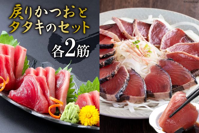 y{錧CszTmۂ̂hgp߂肩Ƃ^^L̃Zbgie2؁j [X {錧 Cs 20563366]