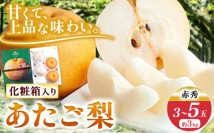 あたご梨 3〜5玉 約3kg 化粧箱 石原果樹園 赤秀 [11月下旬-12月下旬頃より発送予定]岡山県 浅口市 梨 なし 果物 フルーツ くだもの あたご---124_604_11g12g_23_17500_3---