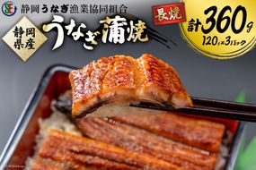  うなぎ 国産 静岡 蒲焼 長焼 120g×3 計360g [静岡うなぎ漁業協同組合 静岡県 吉田町 22424073] 静岡県産 鰻 ウナギ 蒲焼き 真空パック 冷凍