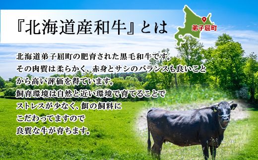 2953. 霜降り 黒毛和牛 A4 A5 等級 中落ち カルビ バラ山 焼肉 400g前後 2人前 BBQ 牛肉 肉 牛 赤肉 和牛 山わさび 醤油 漬け ワサビ 付 肉 サイコロ ステーキ お取り寄せ 送料無料 北海道 弟子屈町