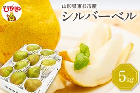 【令和7年産 先行予約】西洋梨シルバーベル５ｋｇ　秀品　化粧箱入り 山形県 東根市 東根農産センター提供 hi027-199-2