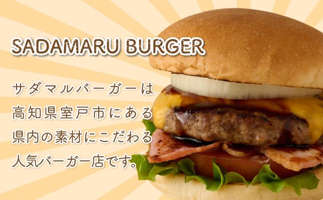 土佐和牛＆四万十ポーク合い挽きハンバーガーセット【３人前】　sd001