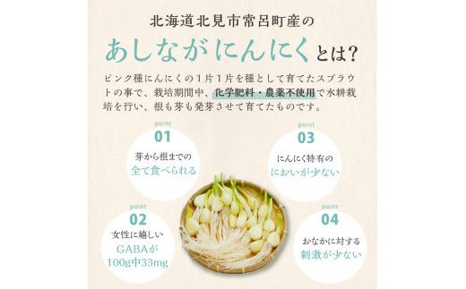 【予約：2025年1月上旬から順次発送】【訳あり】あしながにんにく 60g×2袋 ( あしながにんにく にんにく ガーリック 訳あり 訳アリ 北海道 )【143-0003-2025】