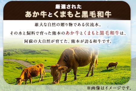 熊本県産 あか牛 くまもと黒毛和牛 もつ鍋セット こだわり和風仕立て 肉のみやべ 《120日以内に出荷予定(土日祝除く)》 熊本県 御船町---mifune_myb_26_4p---