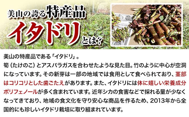 ～美山の贅シリーズ～ イタドリ３品詰め合わせセット 日高川町生活研究グループ美山支部《30日以内に出荷予定(土日祝除く)》和歌山県 日高川町 ジャム 山菜 ドレッシング 茶 イタドリ---wshg_hsk7_30d_24_14000_3i--