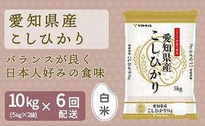 愛知県産コシヒカリ 10kg(5kg×2袋) ※定期便6回 こめ コメ ごはん 安心安全なヤマトライス 米 白米 国産 精米 10キロ H074-698
