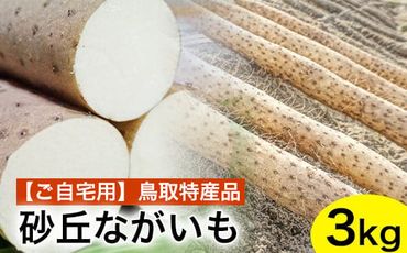 【ご自宅用】鳥取特産品　砂丘ながいも（カット）3kg ※北海道・沖縄・離島への配送不可 ※2024年11月中旬～2025年3月下旬頃に順次発送予定