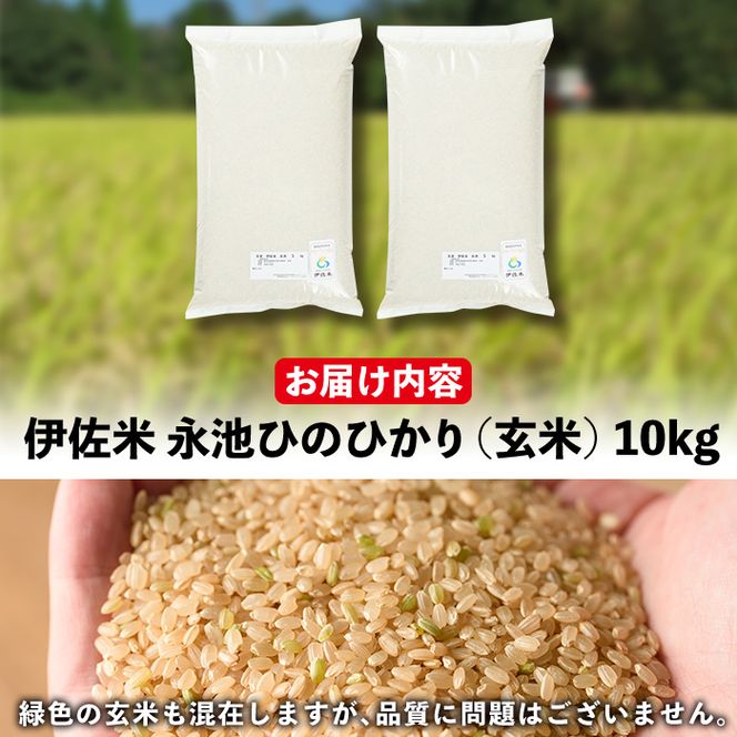 isa199 令和6年産 特別栽培米 永池ひのひかり玄米(10kg) 鹿児島 isa199 令和6年産 特別栽培米 永池ひのひかり玄米(10kg) 鹿児島