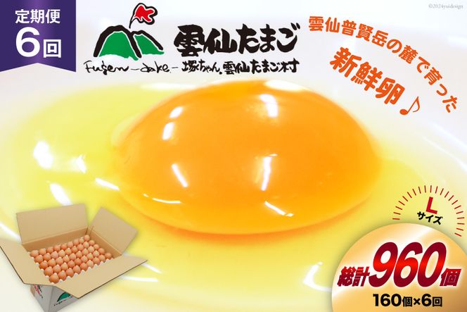 y茧szBI047 6  ǂI _傽܂LTCY 160(150{⏞10) [  ܂  { ԗ ʎq VN ˂_傽܂ 茧 s ]