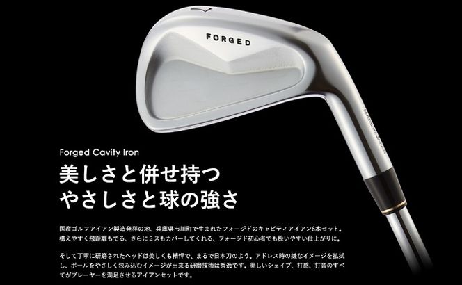 250BD01.CK-H（＃5-PW）