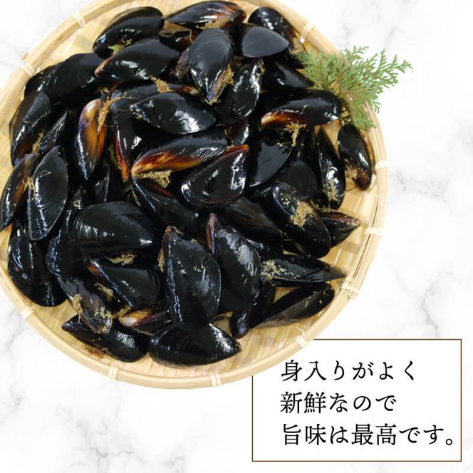 y茧DnszԌ [L 1.5kg L ށ[邪 Gߌ  [L {B  L OY pGA  pX^  sU CN kt VN Y Dns 茧  ① イL CKC TLCKC O[L [enzen005]