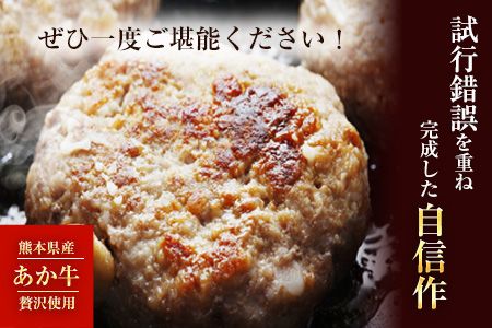 あか牛ハンバーグ 熊本県産あか牛を使用した贅沢ハンバーグたっぷり7個入り 《7-14日以内に出荷予定(土日祝除く)》 あか牛 赤牛 あかうし---mna_fschamburg_wx_r7_14000_840g---