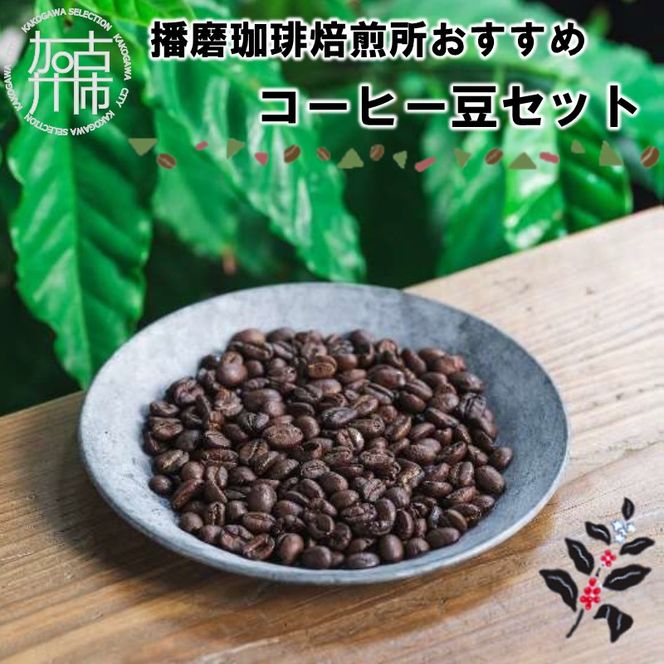 播磨珈琲焙煎所おすすめコーヒー豆セット《 コーヒー 珈琲 焙煎豆 挽き