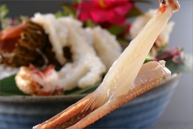 かに卸し問屋がお届け・浜競り厳選！幻の活間人ガニ 1ｋｇ～1.1ｋｇ 超特大サイズ（1月～3月発送）／北畿水産　HK00231