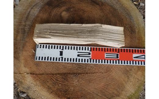 T3I1「きこりの薪」広葉樹定期便３カ月