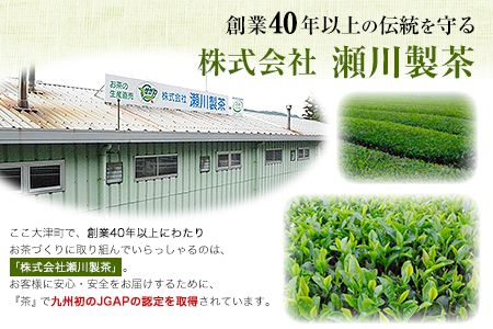 色が変わる日本茶 サンルージュ 5袋セット (1袋10バッグ入り) ティーバッグ 《60日以内に出荷予定(土日祝除く)》熊本県 大津町産 株式会社 瀬川製茶 新品種 希少 ピンク 緑茶---so_sgwsun_60d_24_12500_5bags---