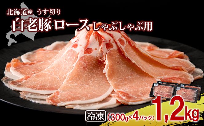 ykCVzkCY V [X Ԃԗp 300g×4pbN BV006