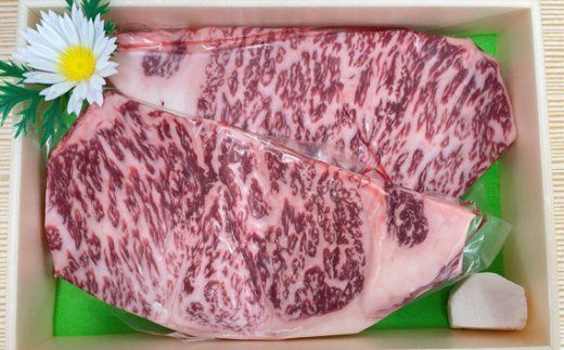 No.277 上州牛サーロインステーキ　約500g（約250g×2枚） ／ 牛肉 和牛 群馬県 特産品