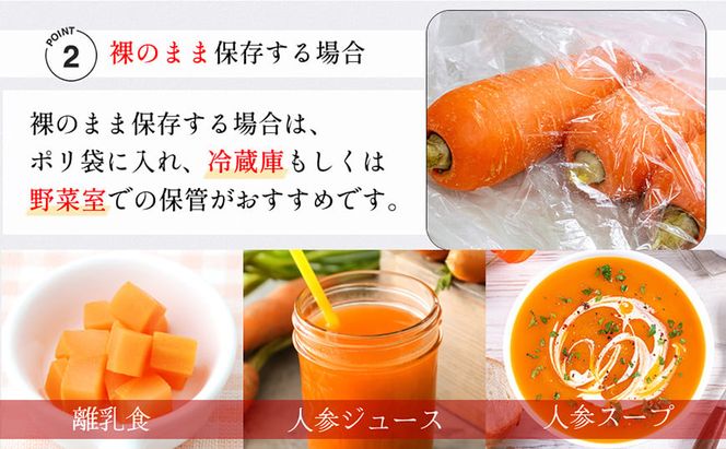 BH052 人参 訳あり 堀農園のこだわり人参 約10kg [ 野菜 訳アリ にんじん ニンジン キャロット 10キロ 先行予約 常備野菜 国産 贅沢宝庫 長崎県 島原市 ]