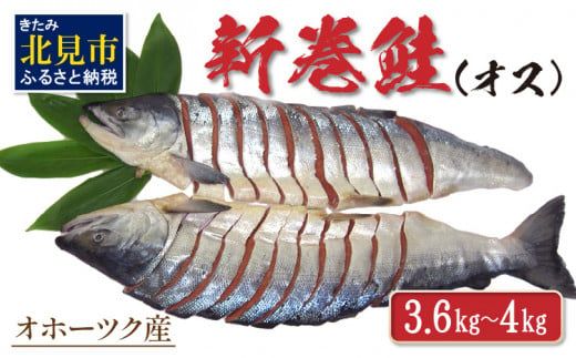 オホーツク産新巻鮭 オス 切身 約3.6～4kg ( さけ サケ 切り身 パック 小分け 真空パック 塩漬け 鮭 ムニエル 甘塩 フライ ホイル焼き ふるさと納税 魚介類 魚 海鮮 )【017-0015】