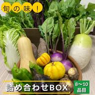 旬の味！お野菜 詰め合わせ BOX 8～10品目（栽培期間中 農薬・化学肥料不使用） 【めぐる農園】京都 亀岡 京野菜 農家より直送