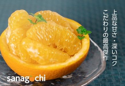 ”村のこだわり”　紅はっさく　※1月中旬‐2月中旬頃発送　※離島不可---sanagouchi_ymh_1_7kg---