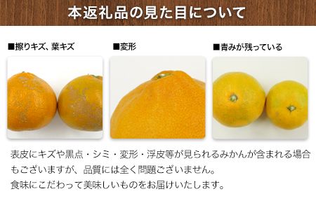 ご家庭用訳あり 熊本県玉東町産限定『坂田農園』のご家庭用みかん 大容量 約10kg(S-3Lサイズ)  フルーツ 秋 旬 玉東町70年のベテラン！濃厚な食味とジューシーな果汁 熊本県玉東町《10月上旬-1月末頃出荷》---gkt_skt_6_10kg---