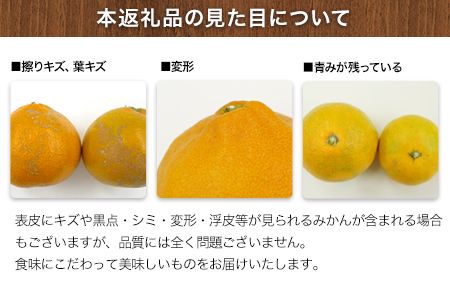 ご家庭用『清晃アグリ』のご家庭用みかん★約4kg(2S-2Lサイズ) 予約受付中 フルーツ 秋 旬★熊本県玉名郡玉東町 健康な土で育つジューシーおいしいみかん！ちょこっと訳あり《11月中旬-12月末頃出荷(土日祝除く)》---sg_wagurimikan_bc11_24_7500_4kg---