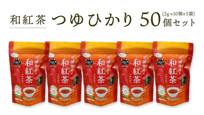 y錧㒬zag Ђ 50 Zbg ( 2g × 10 × 5 ) [AF003ya]