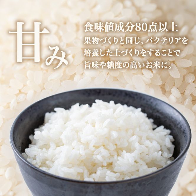 新米・令和5年産＞皇室献上米 にこまる精米 (計6kg・3kg×2袋) 米 精米 ...