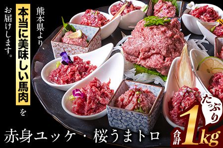 赤身ユッケ桜うまトロセット 計1kg 1000g ユッケ 桜うまトロ(ネギトロ) 千興ファーム 馬肉 冷凍 [60日以内に出荷予定(土日祝除く)] 新鮮 さばきたて 真空パック 肉 熊本県御船町 馬刺し おつまみ---mifune_snk_27_1kg---