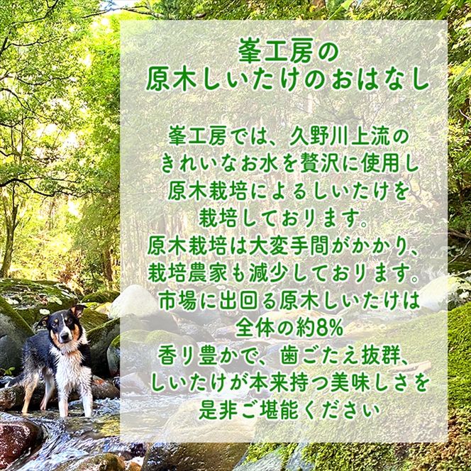 142-2519　しいたけだけのピクルス 3個セット【 家庭用 自宅用 贈答品 贈答用 ギフト お取り寄せ お中元 お歳暮 贈り物 お祝い 神奈川県 小田原市 】