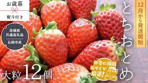 【 お歳暮 熨斗付 】【 桐箱入り 】大粒とちおとめ 12粒 【令和6年12月から発送開始】（県内共通返礼品：石岡市産） いちご イチゴ 苺 とちおとめ [BI380-NT]