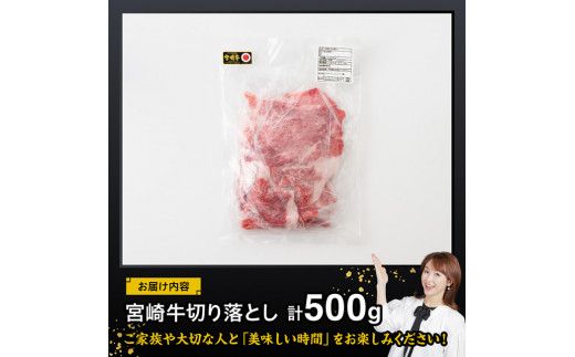 宮崎 牛切り落とし 500g【 肉 牛肉 国産 宮崎県産 黒毛和牛 和牛 切り落とし 】[D11418]