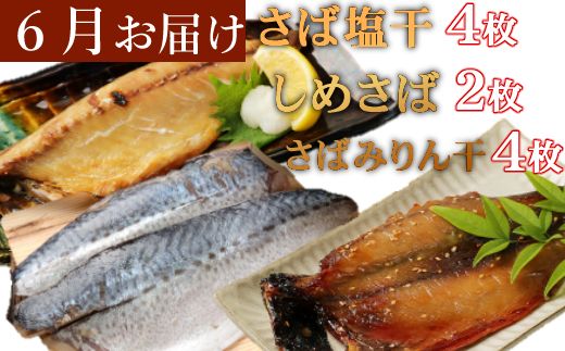 定期便 年6回 室戸流藁焼きタタキと地魚干物定期便B（年６回・偶数月お届け）　iz051
