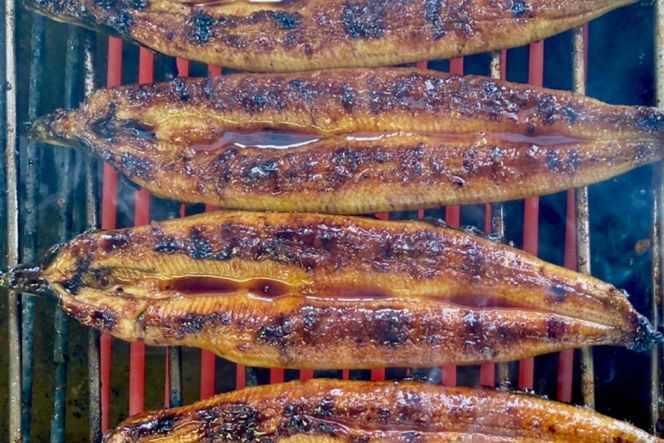 創業100年の味 鰻の蒲焼 2尾 秘伝のタレと山椒付き [川魚料理 鯉ひろまつ 福岡県 筑紫野市 21760024]