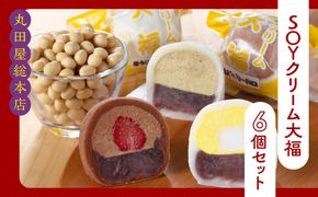 SOYクリーム大福 6個セット   ANQ018