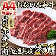 おおいた和牛 特選 赤身 焼肉 (250g) 国産 牛肉 肉 霜降り 低温熟成 ミスジ サンカク A4 和牛 ブランド牛 BBQ 冷凍 大分県 佐伯市【DH239】【(株)ネクサ】