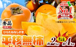 秀品 和歌山秋の味覚平核無柿(ひらたねなしがき) 選べる 約2kg 約4kg 化粧箱入 株式会社魚鶴商店《2026年10月上旬-11月上旬頃出荷》 和歌山県 日高町 柿 カキ かき たねなし ジューシー フルーツ---wsh_uot72_10j11j_25_11000_2kg---