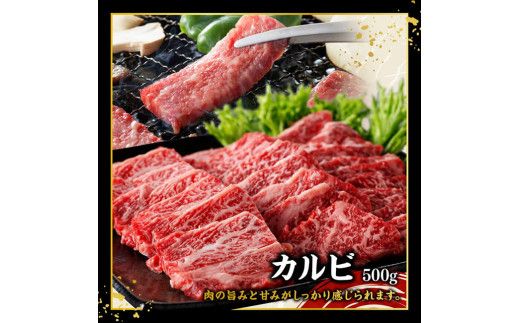 宮崎牛 堪能セット 【スタンダード】 合計1.5kg 【 肉 牛肉 国産 宮崎県産 黒毛和牛 和牛 モモスライス カルビ 】[D11413]