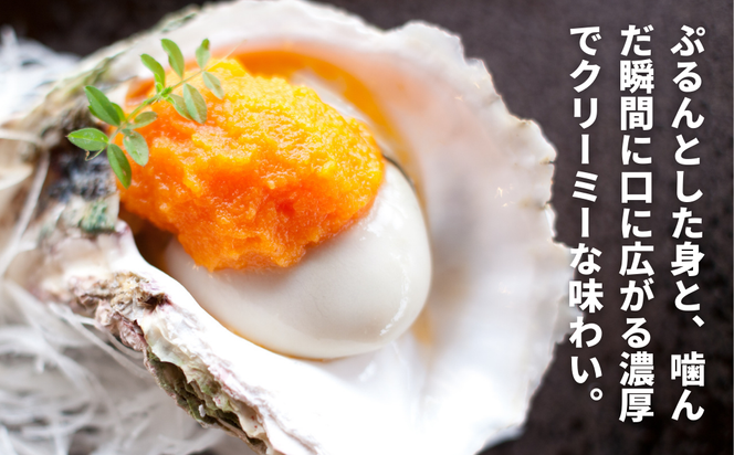 【のし付き】ブランドいわがき春香 新鮮クリーミーな高級岩牡蠣 殻付きSサイズ×７個