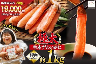 極太 生本ずわいがに 棒肉ポーション 約1kg 26本～40本入り 殻剥き不要 ! 脚肉のみ ! [カネダイ 宮城県 気仙沼市 20564335] カニ ずわいがに ズワイガニ ずわい蟹 ズワイ蟹 蟹 カニ カニ脚 蟹脚 カニ棒肉 カニ 生 蟹 ポーション カニしゃぶ かに 